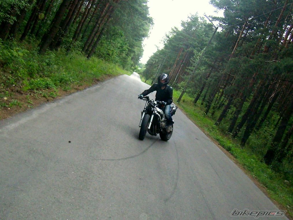 Photo 1338093
