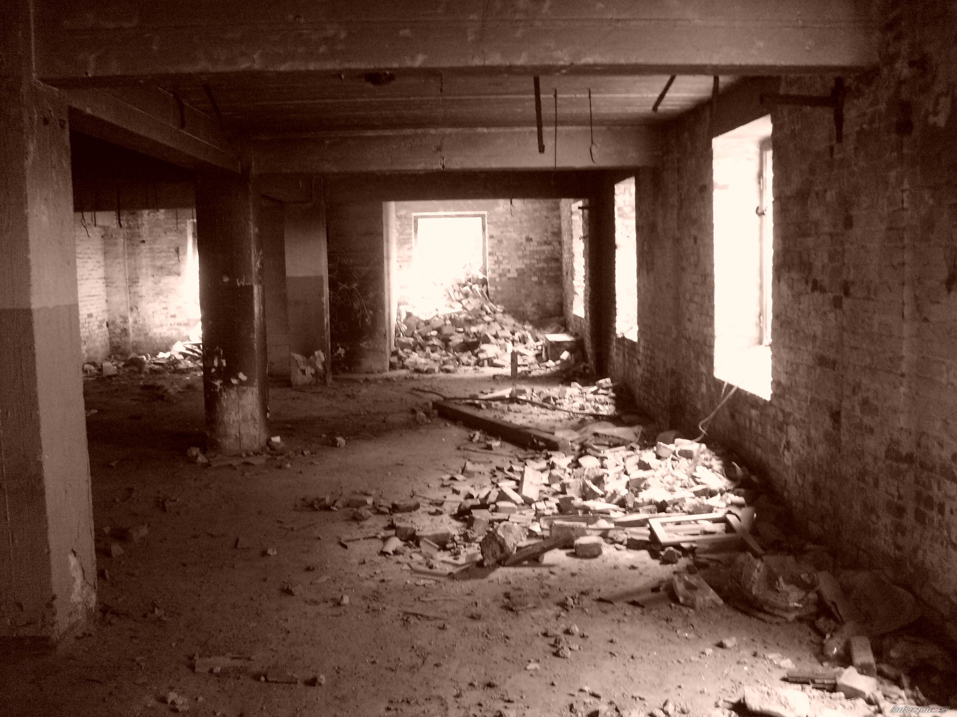 Photo 1338099