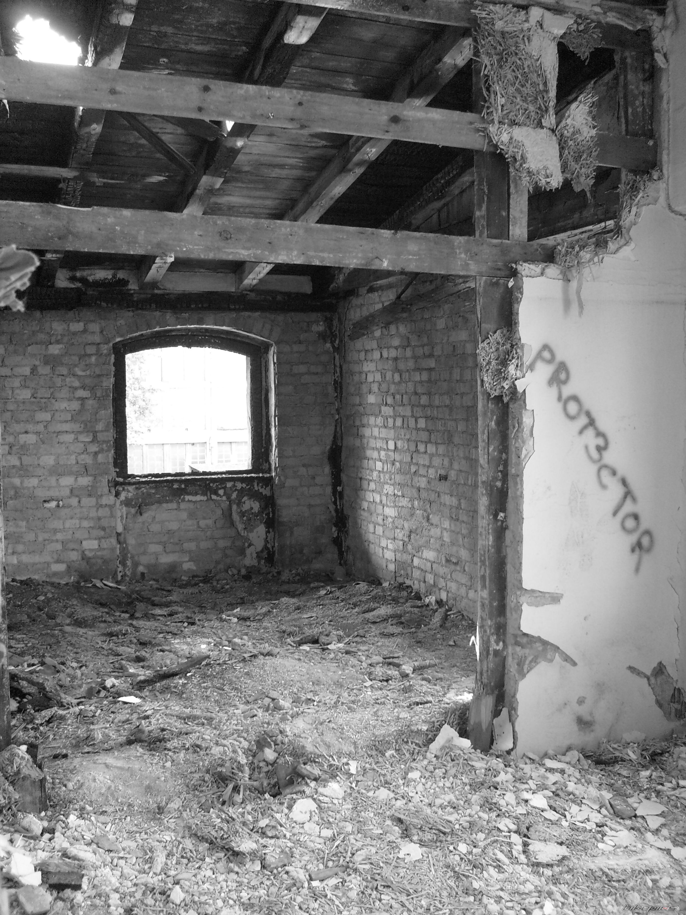 Photo 1338157