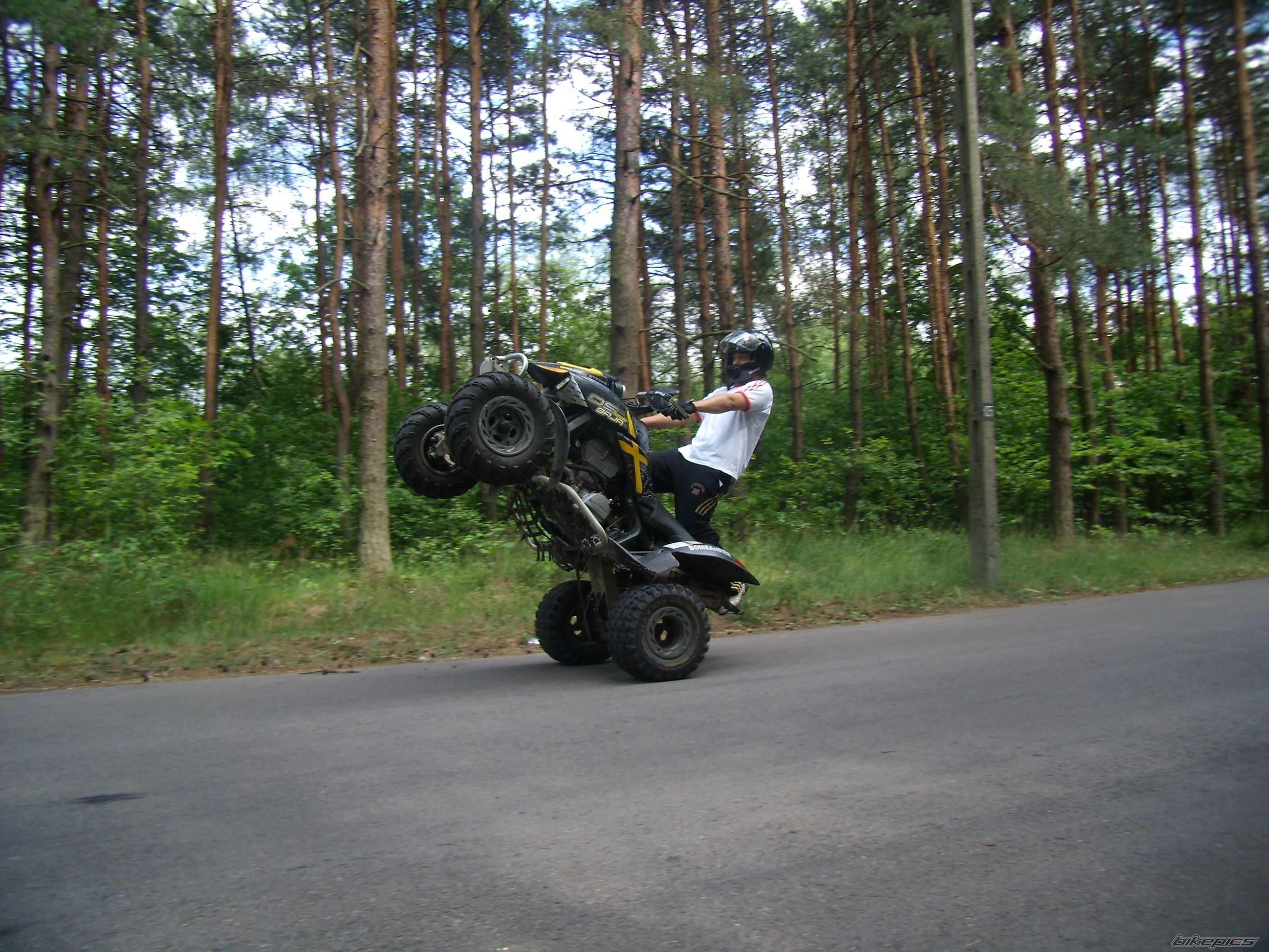 Photo 1338173