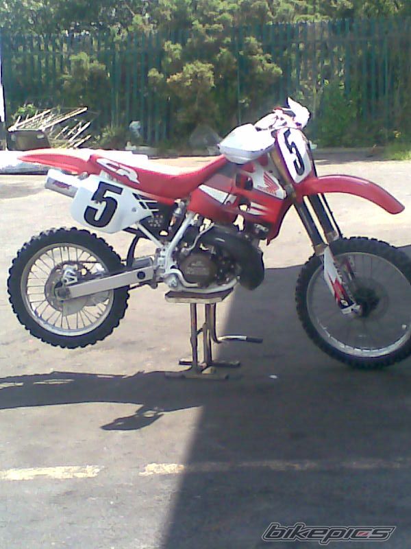 Photo 1338180