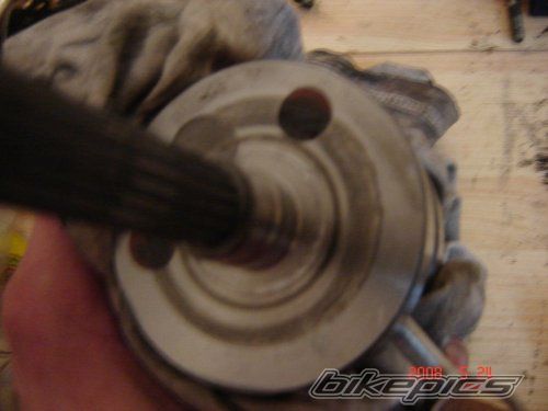 Photo 1338282