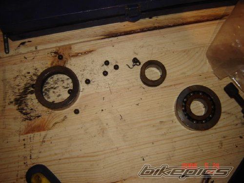Photo 1338283