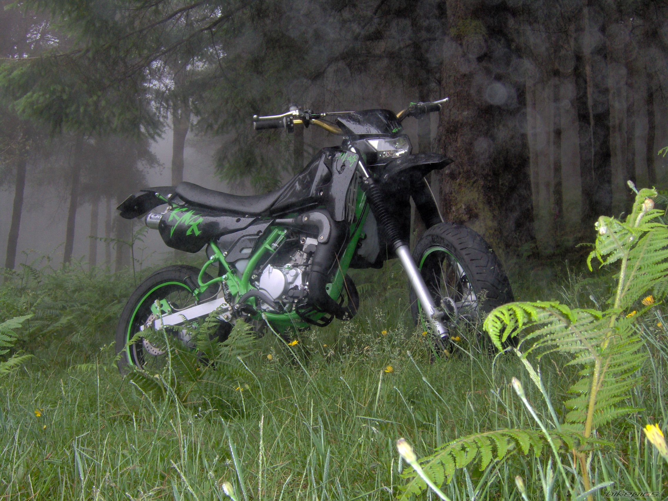 Photo 1338287