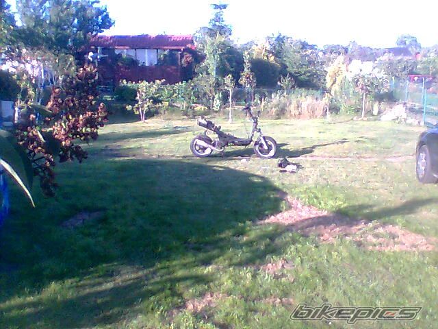 Bike Photo 1338385