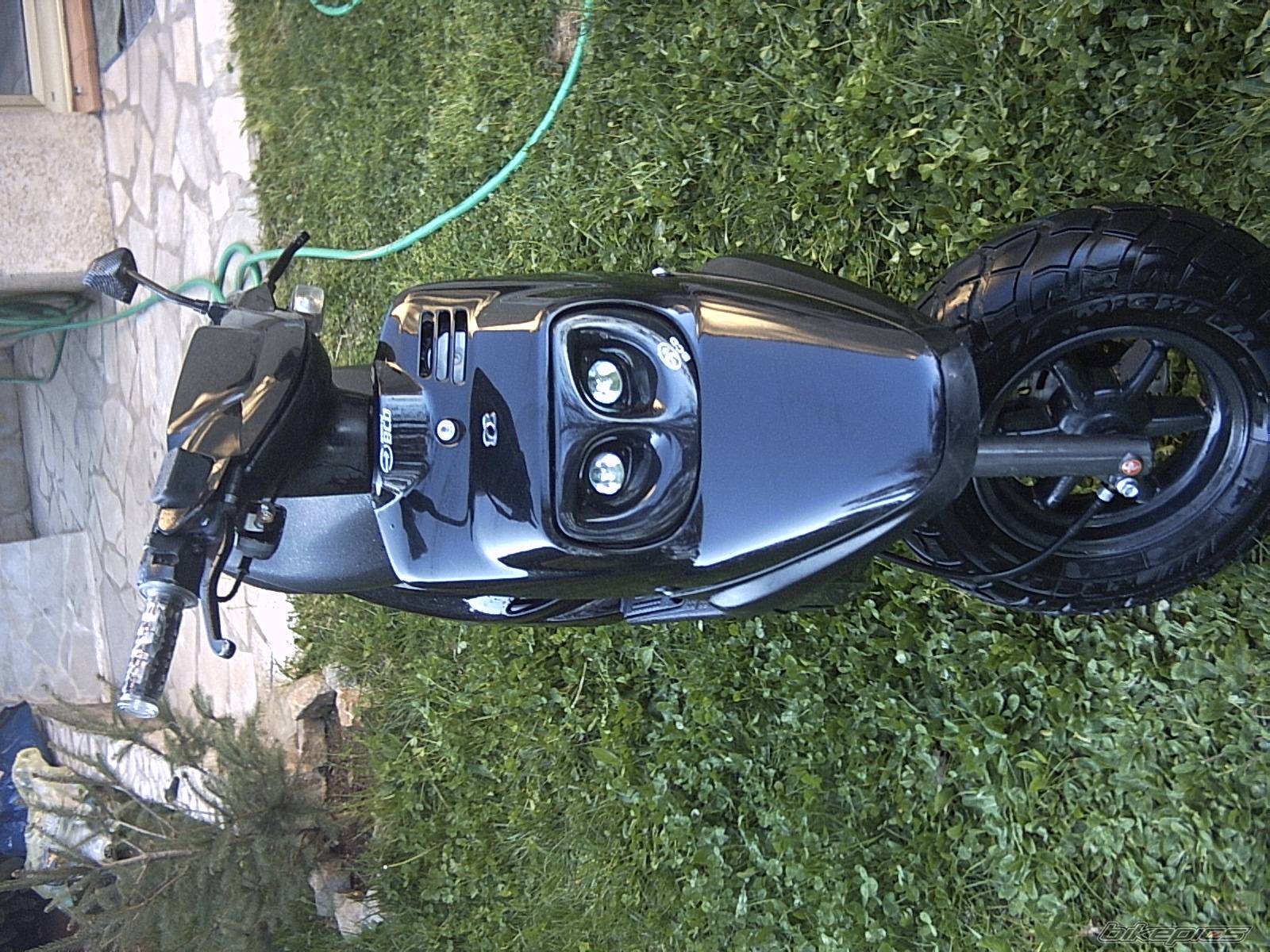 Photo 133841