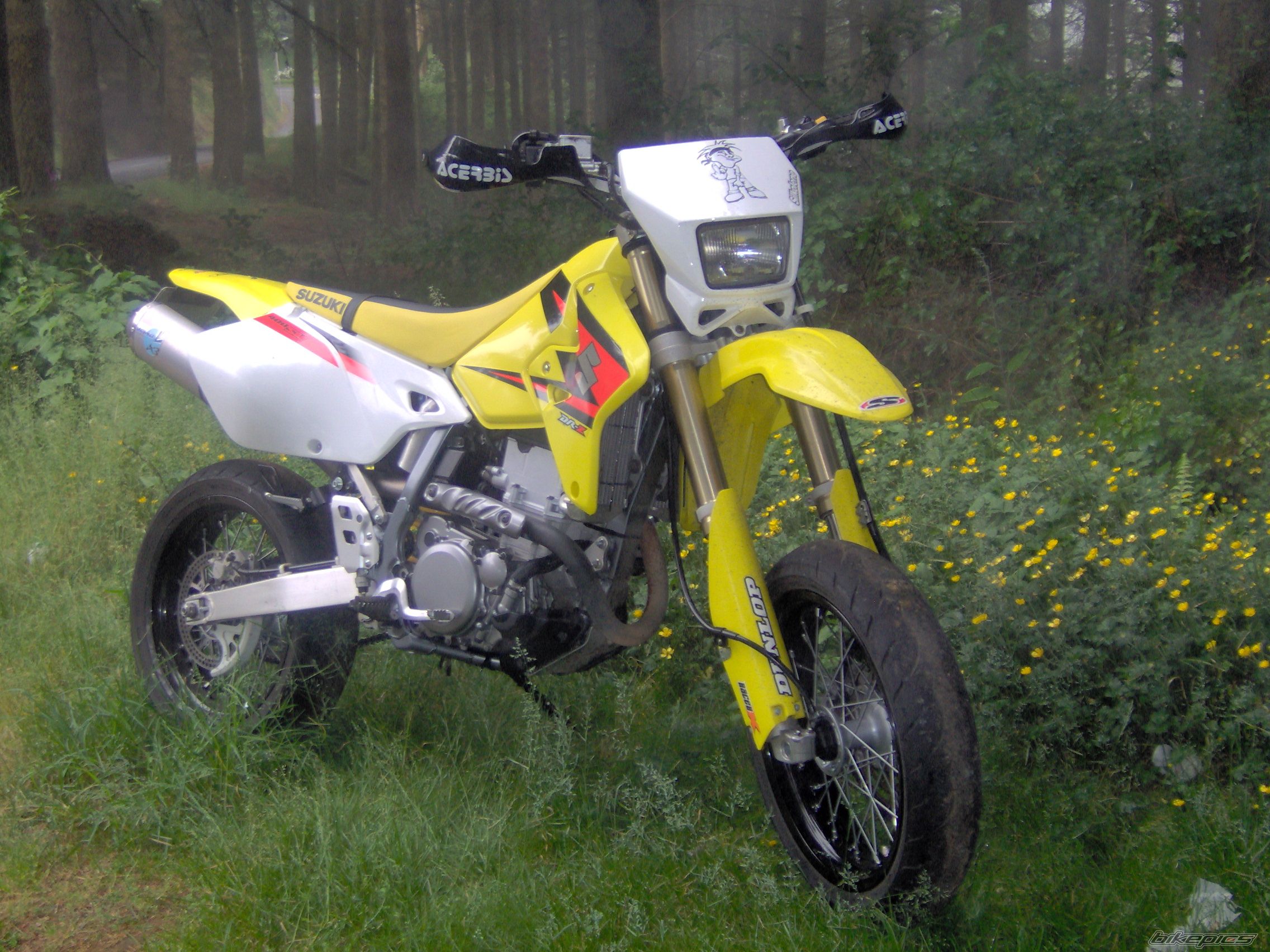 Photo 1338420