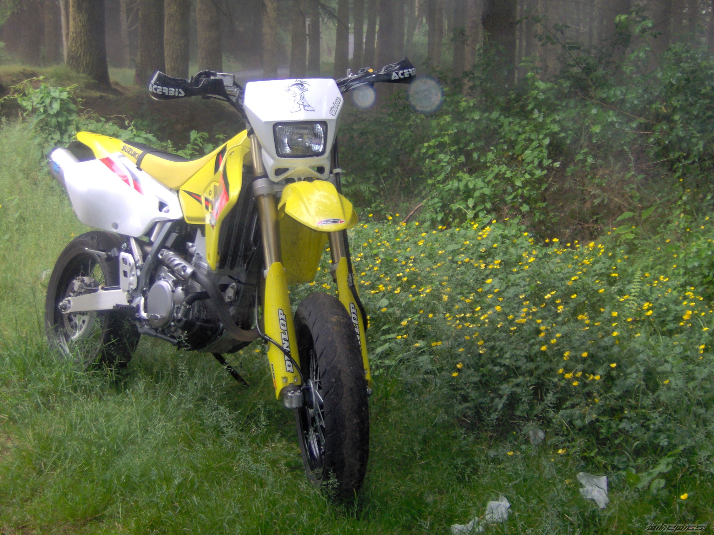 Photo 1338421