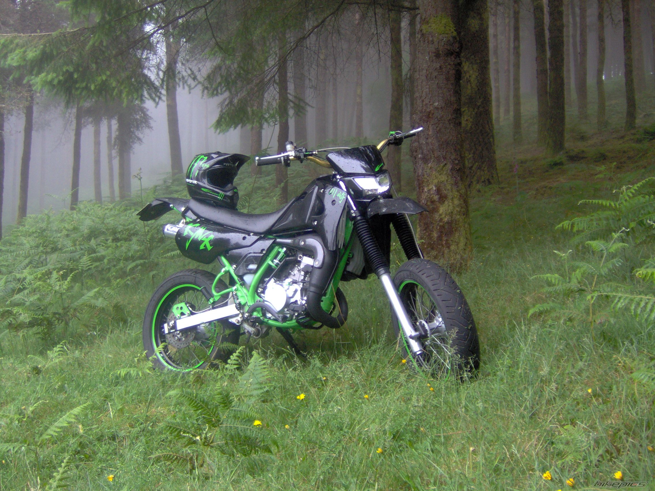 Photo 1338426
