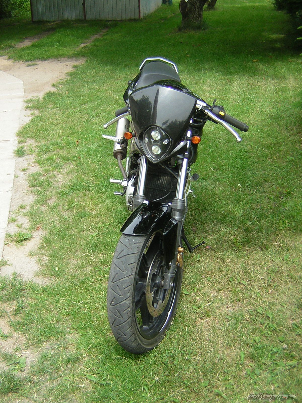Photo 1338446