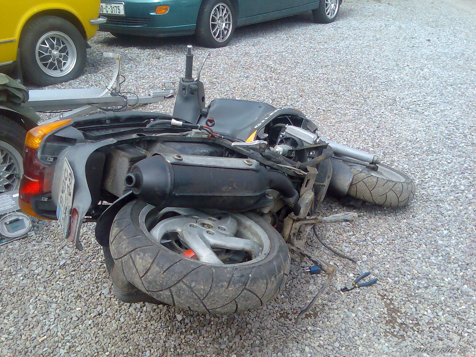 Photo 1338447