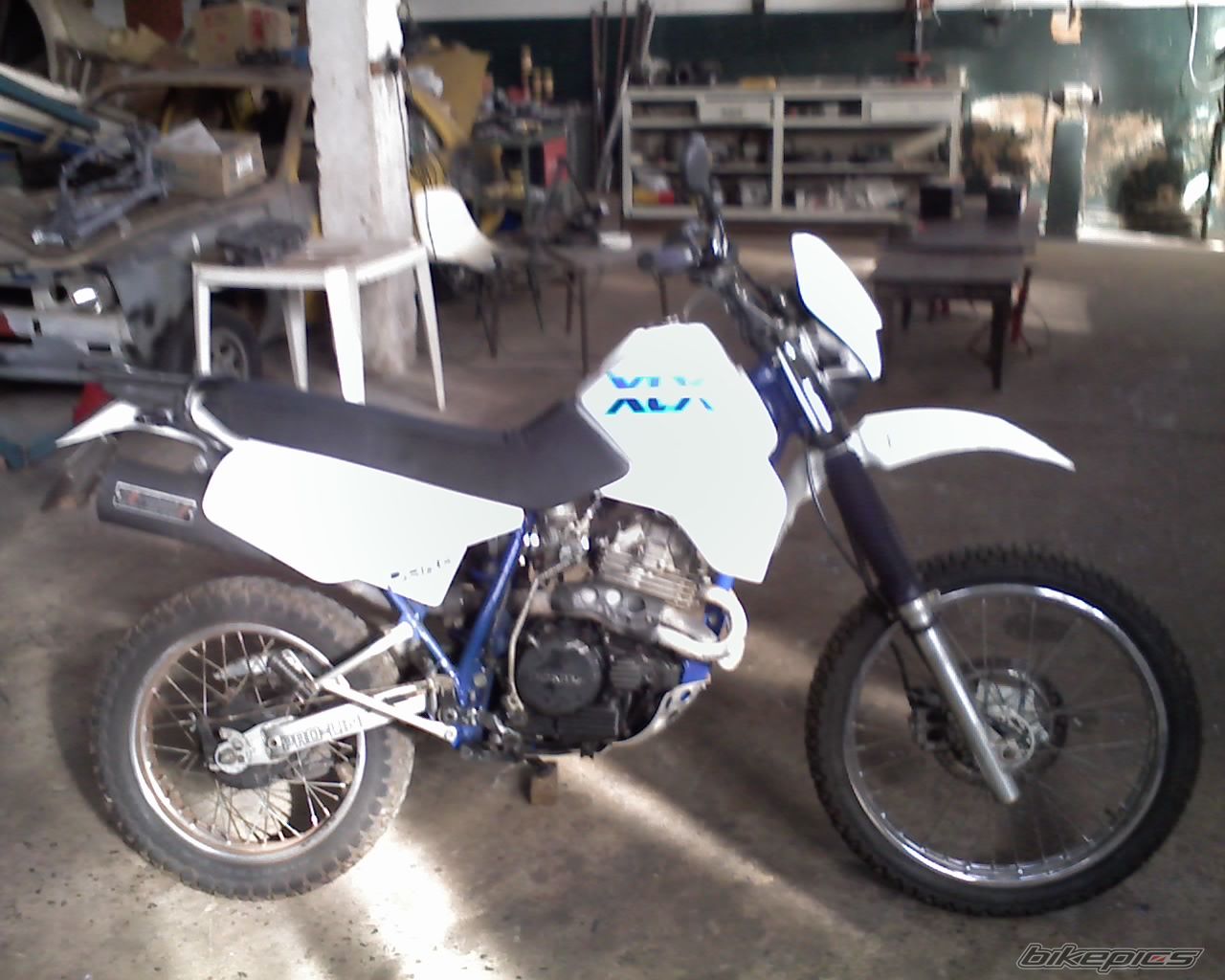 Photo 1338459