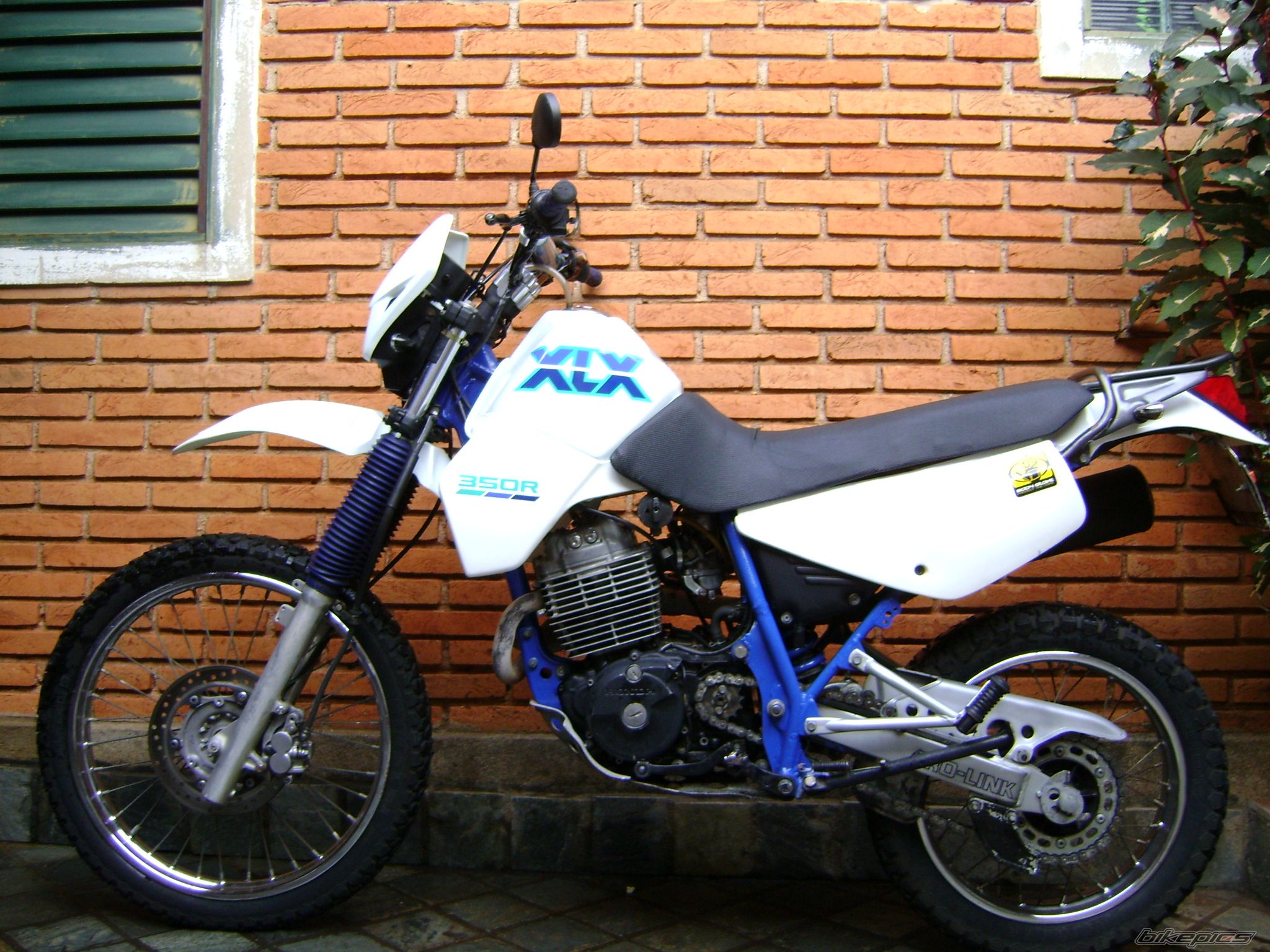 Photo 1338460