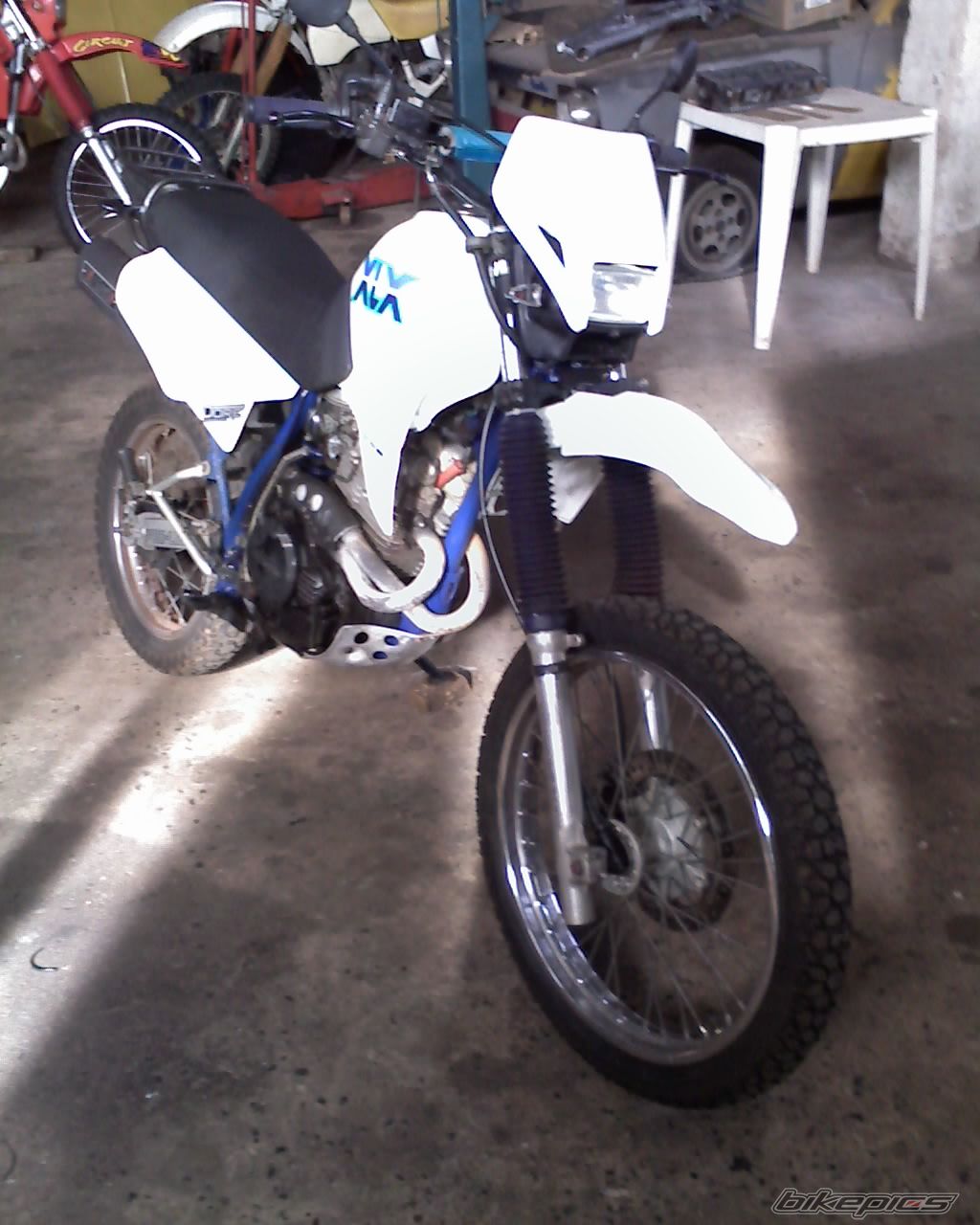 Photo 1338461