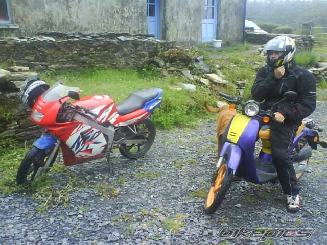 Bike Photo 1338512