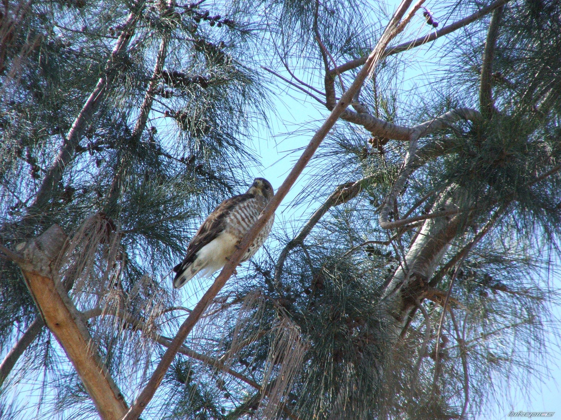 Photo 1338534
