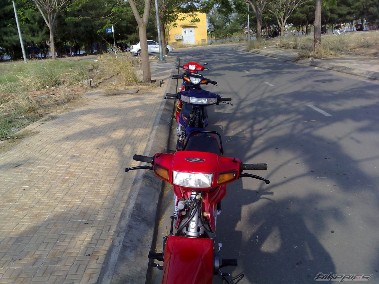 Photo 1338585