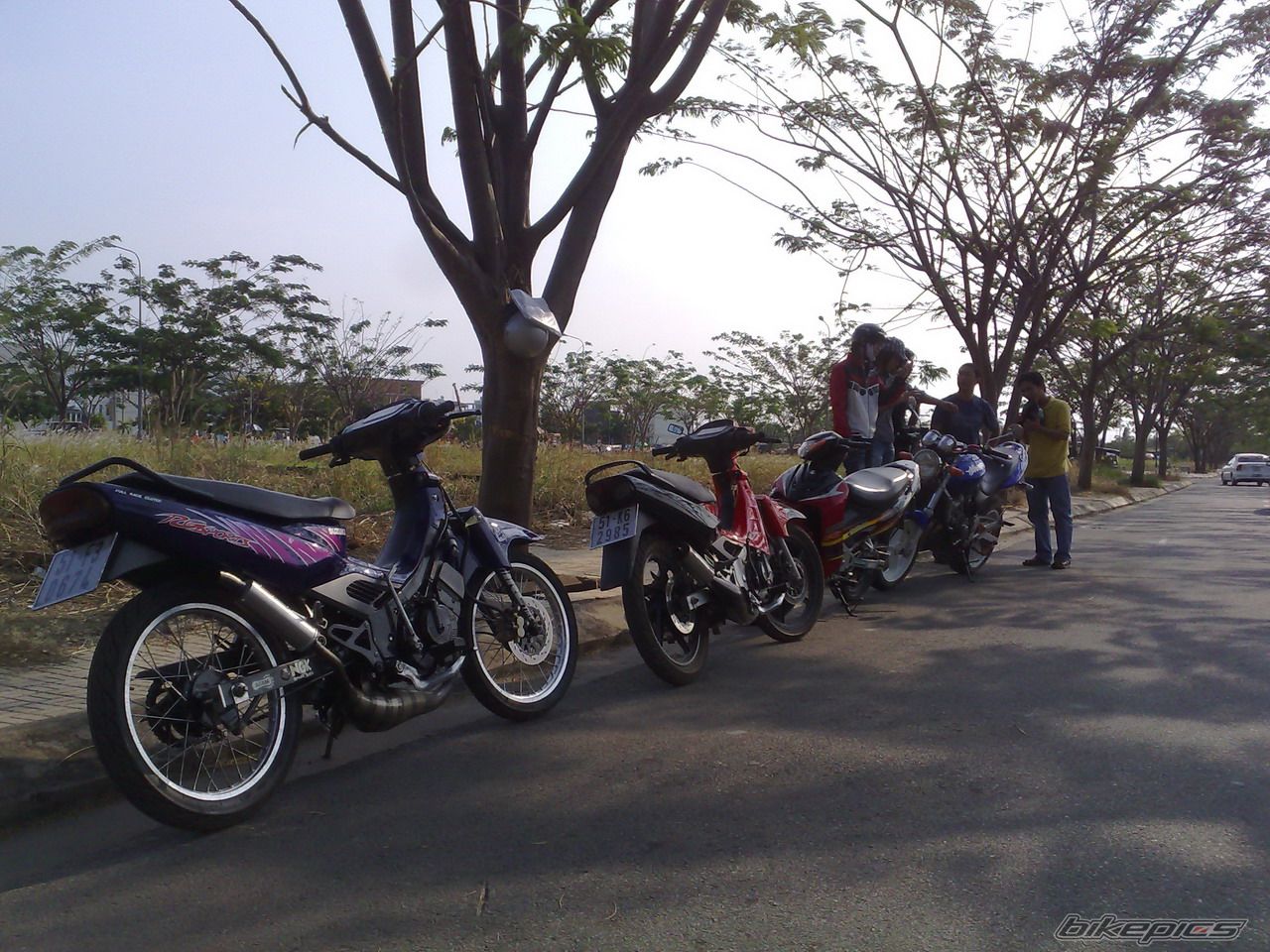 Photo 1338589