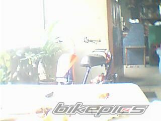 Photo 1338631