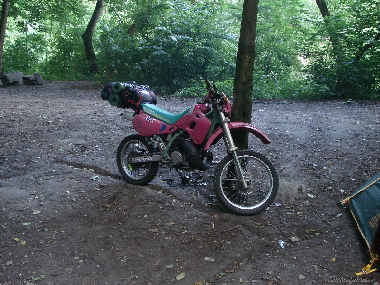 Photo 1338742
