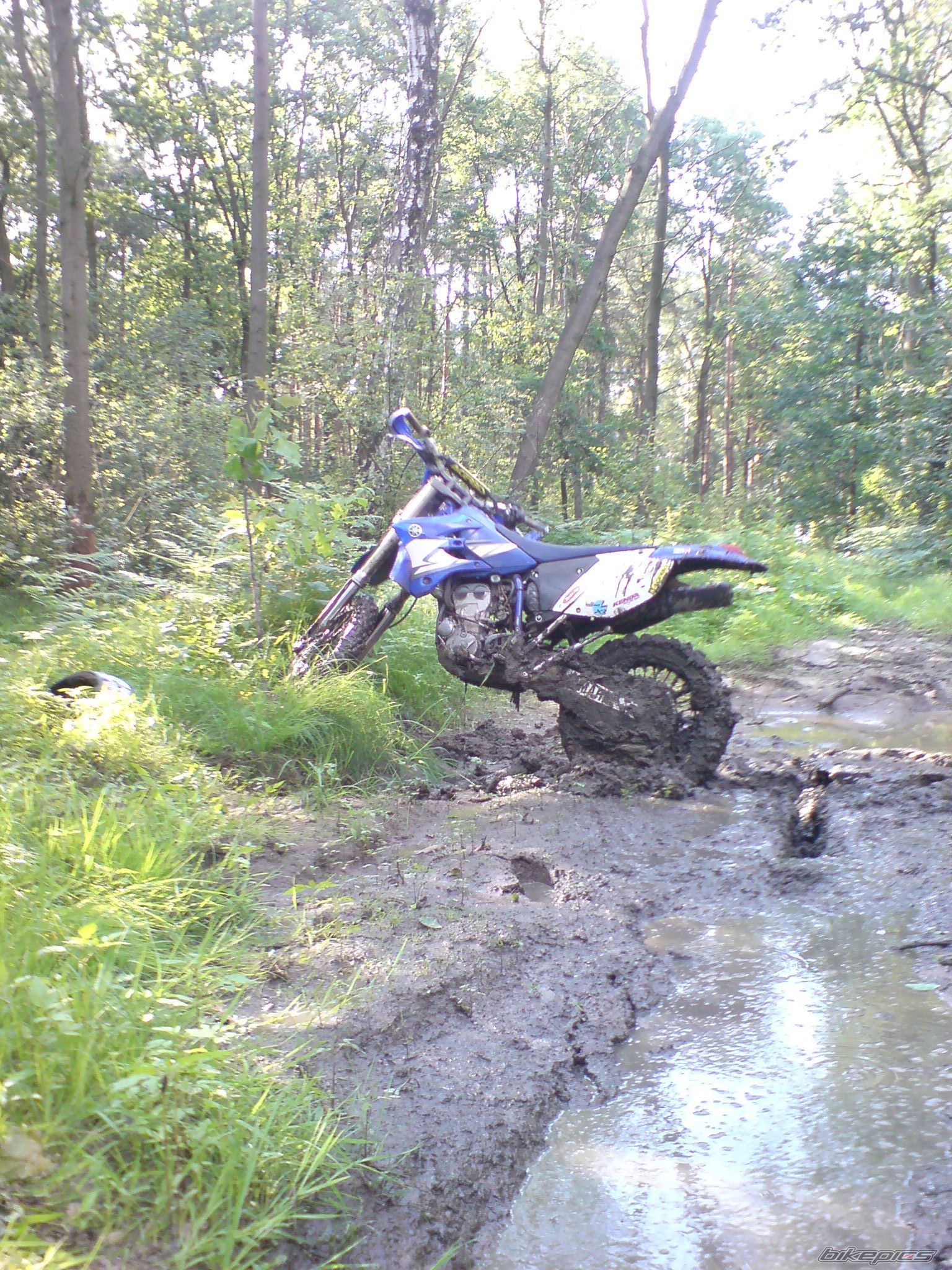 Photo 1338764