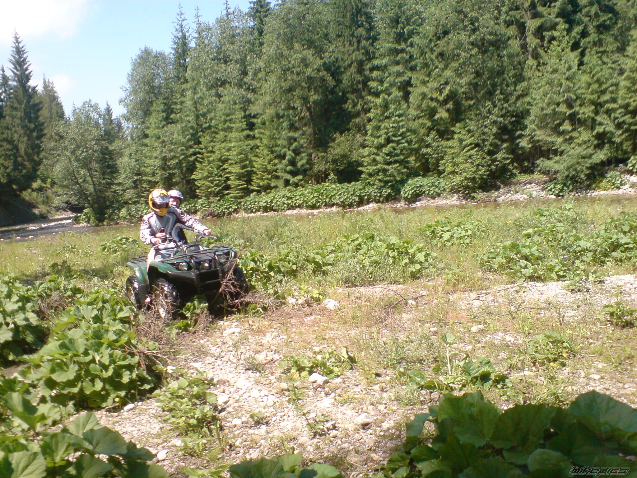 Photo 1338769