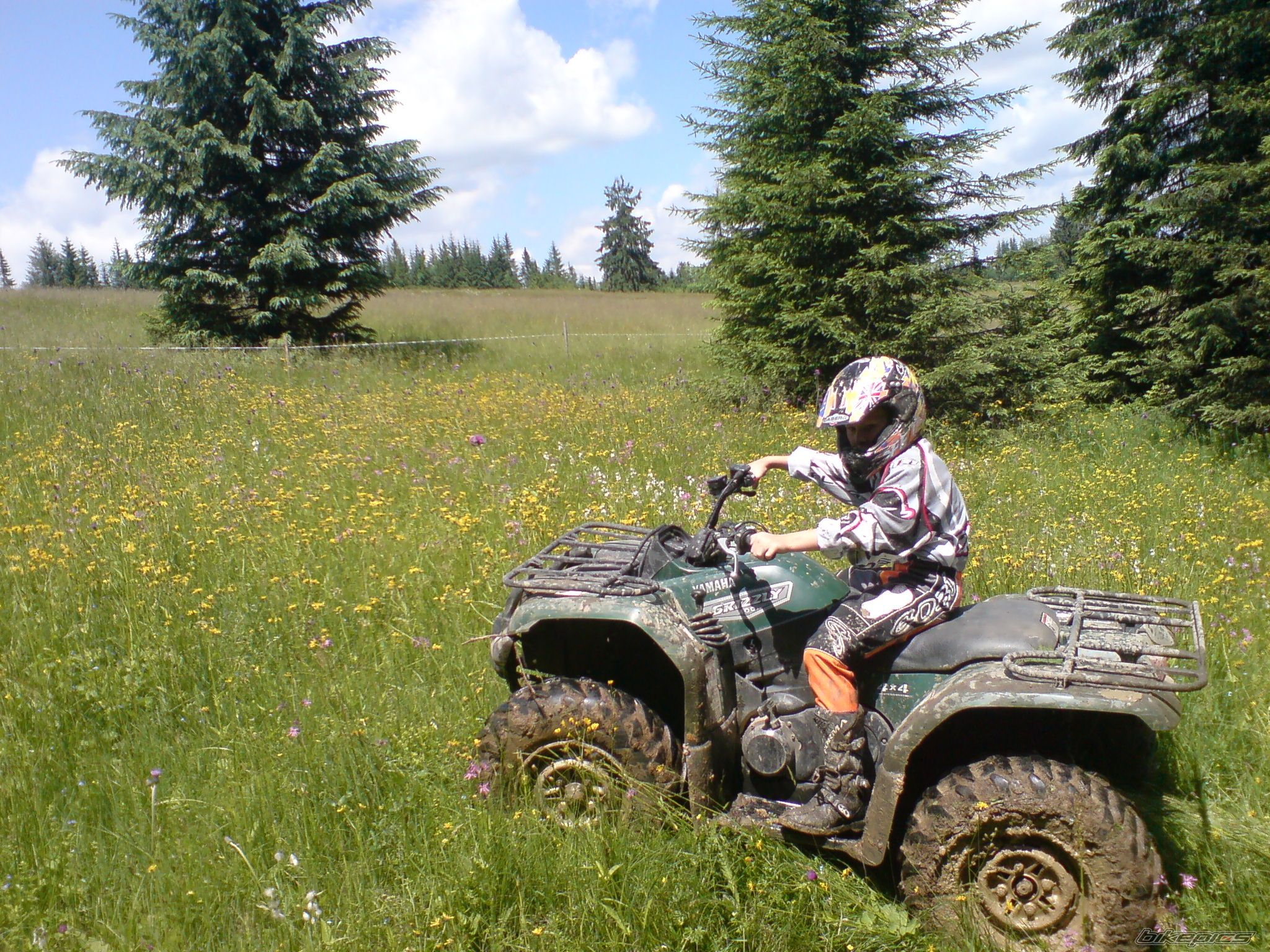 Photo 1338770