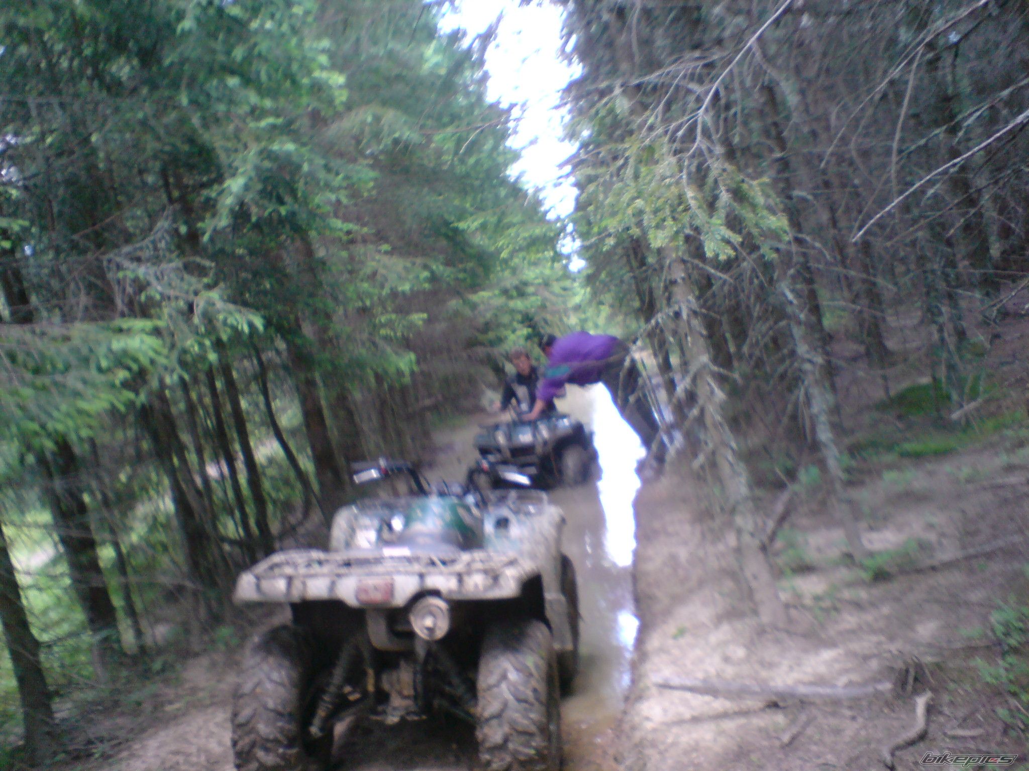 Photo 1338787