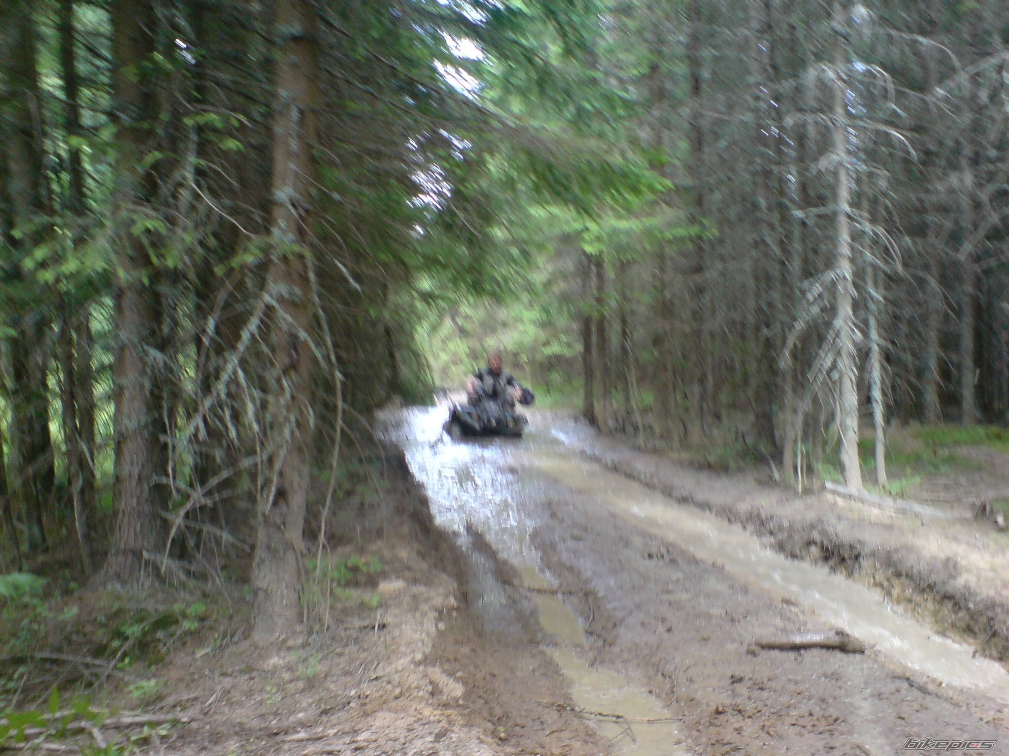 Photo 1338789