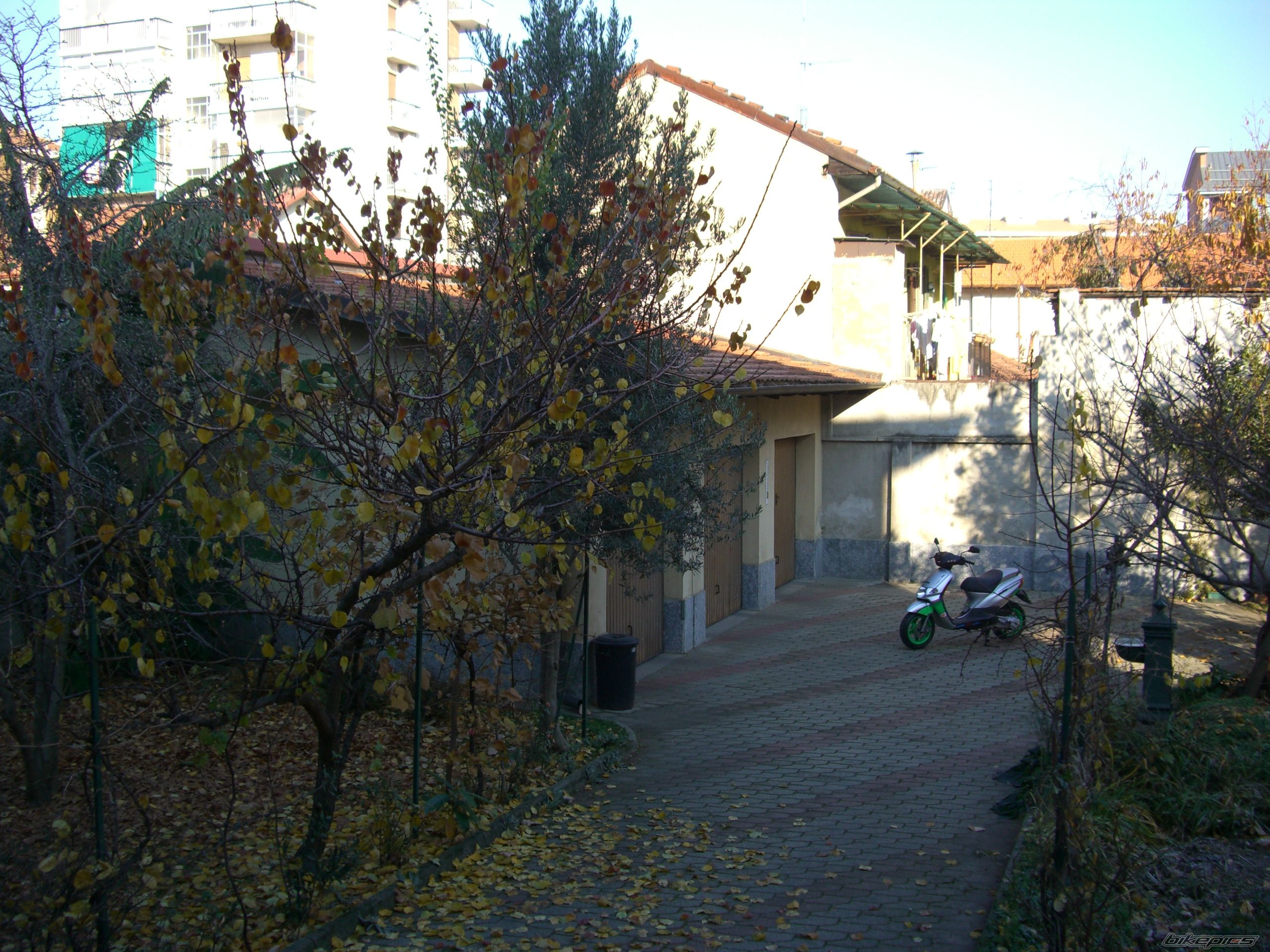 Photo 1338792