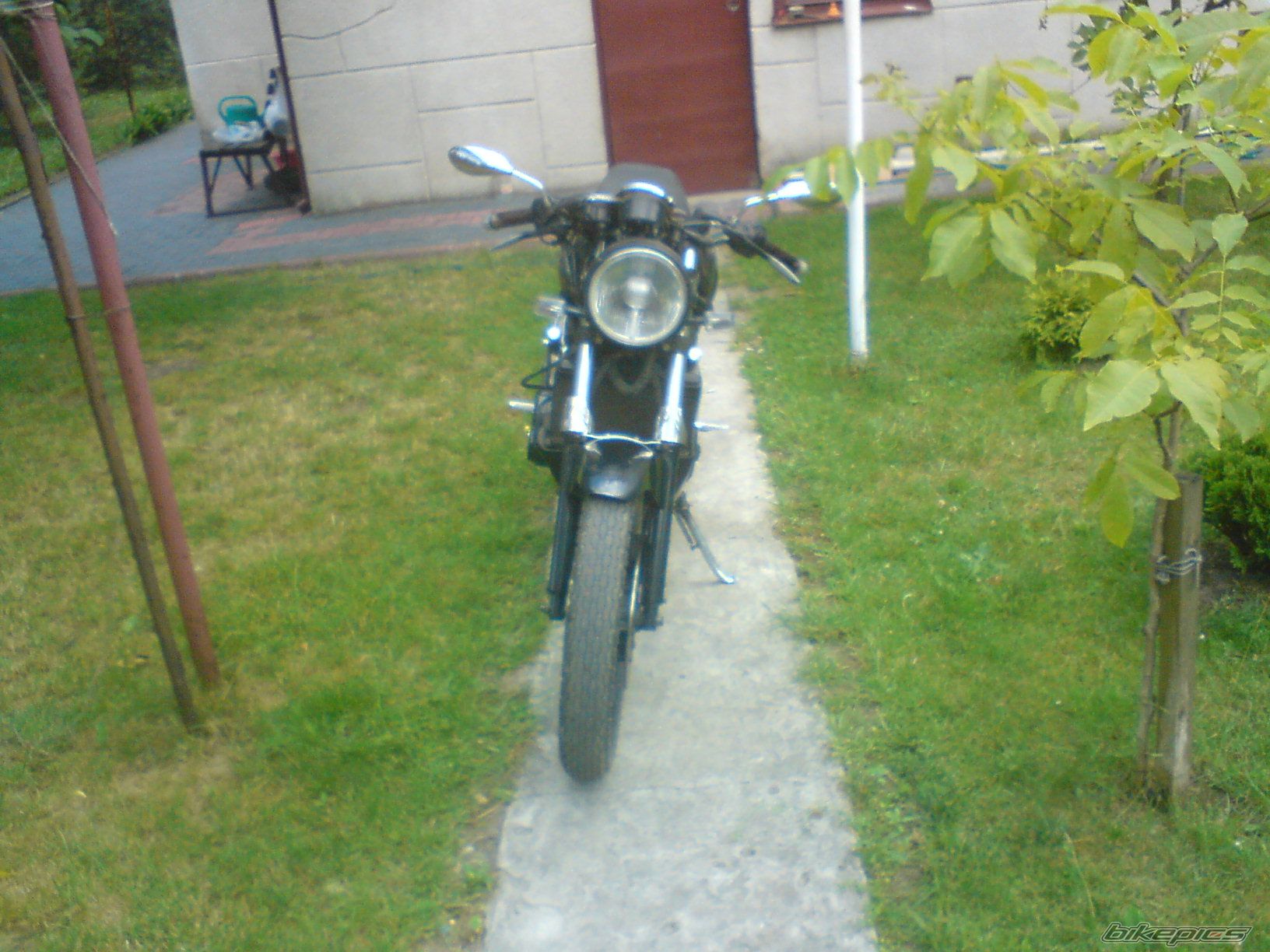 Photo 1338852
