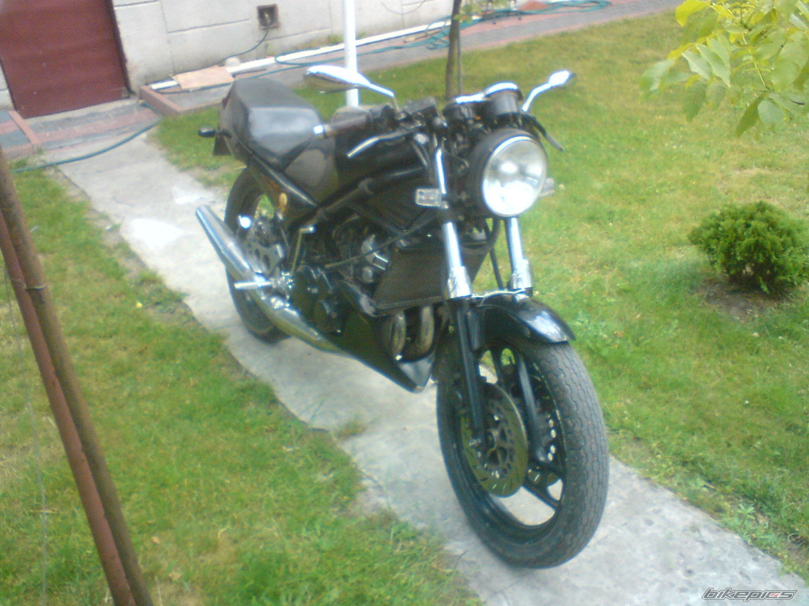 Photo 1338854