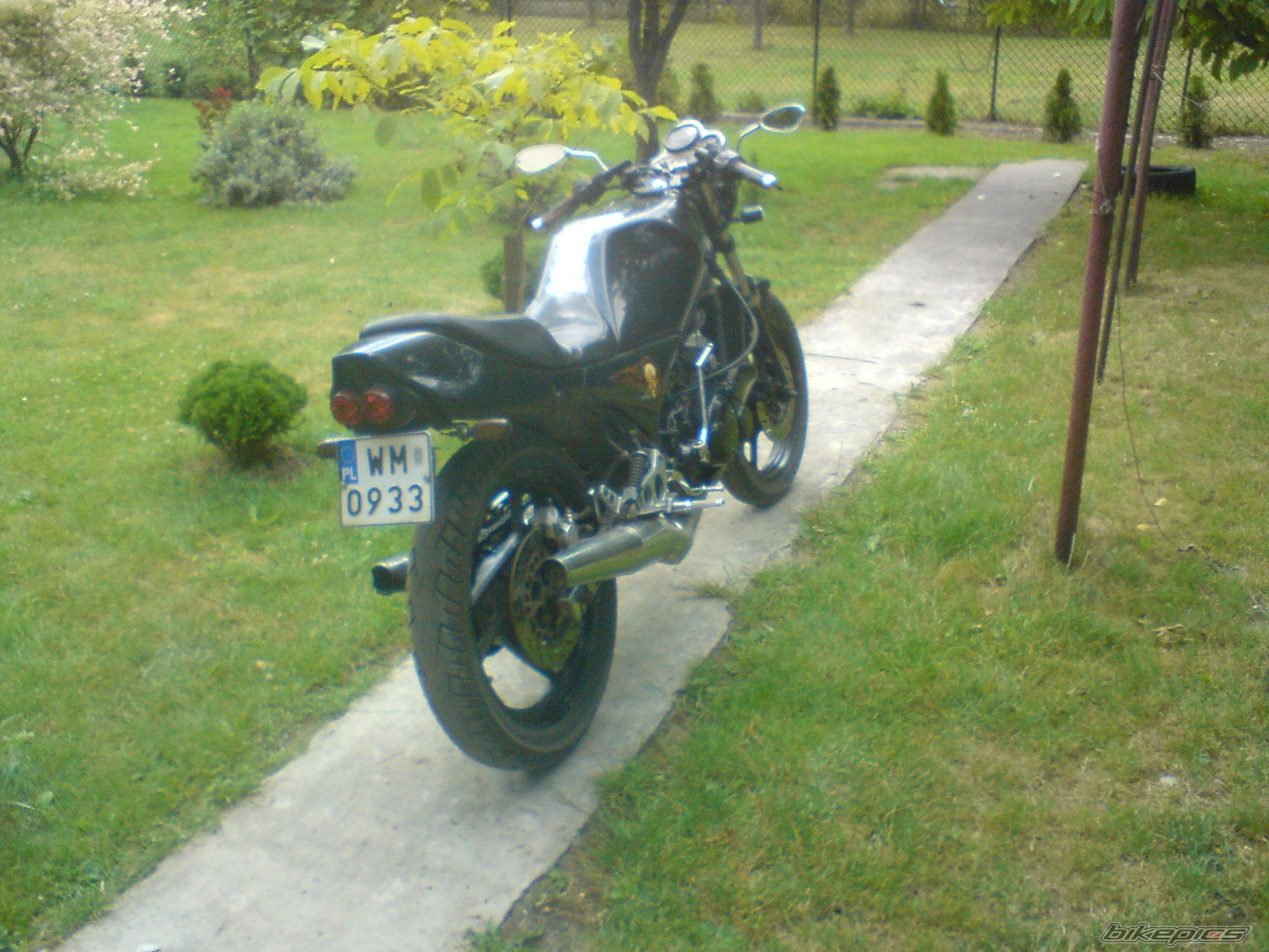 Photo 1338855