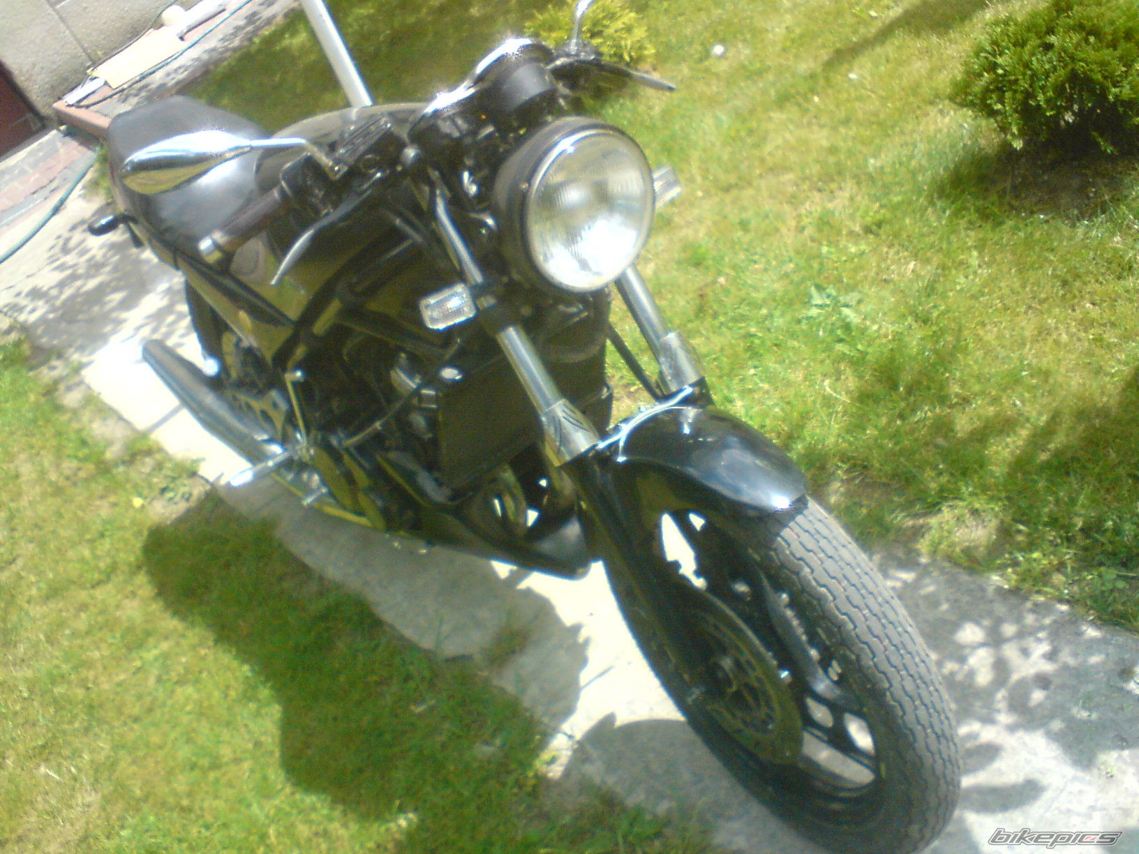 Photo 1338856