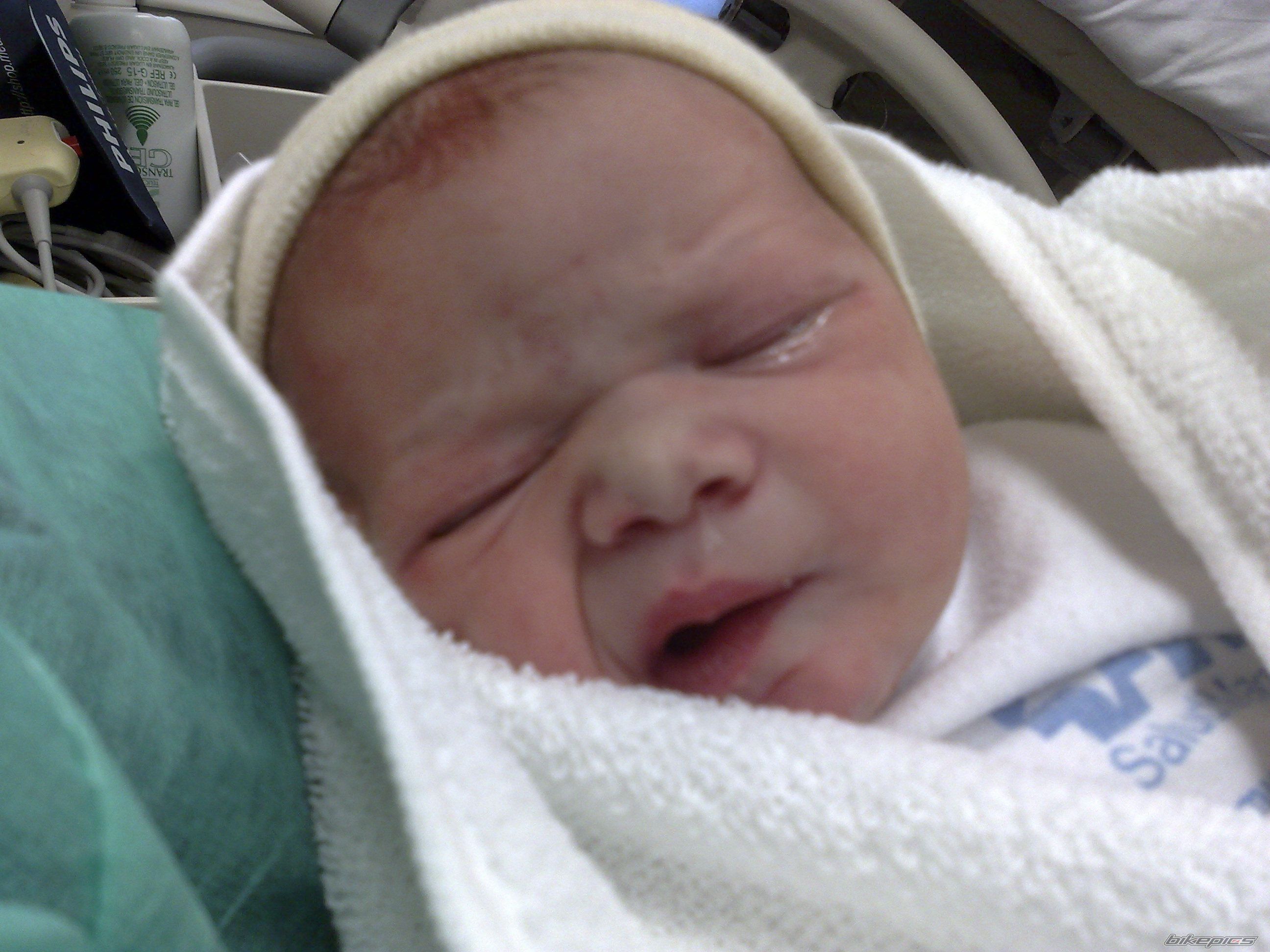 Photo 1338860