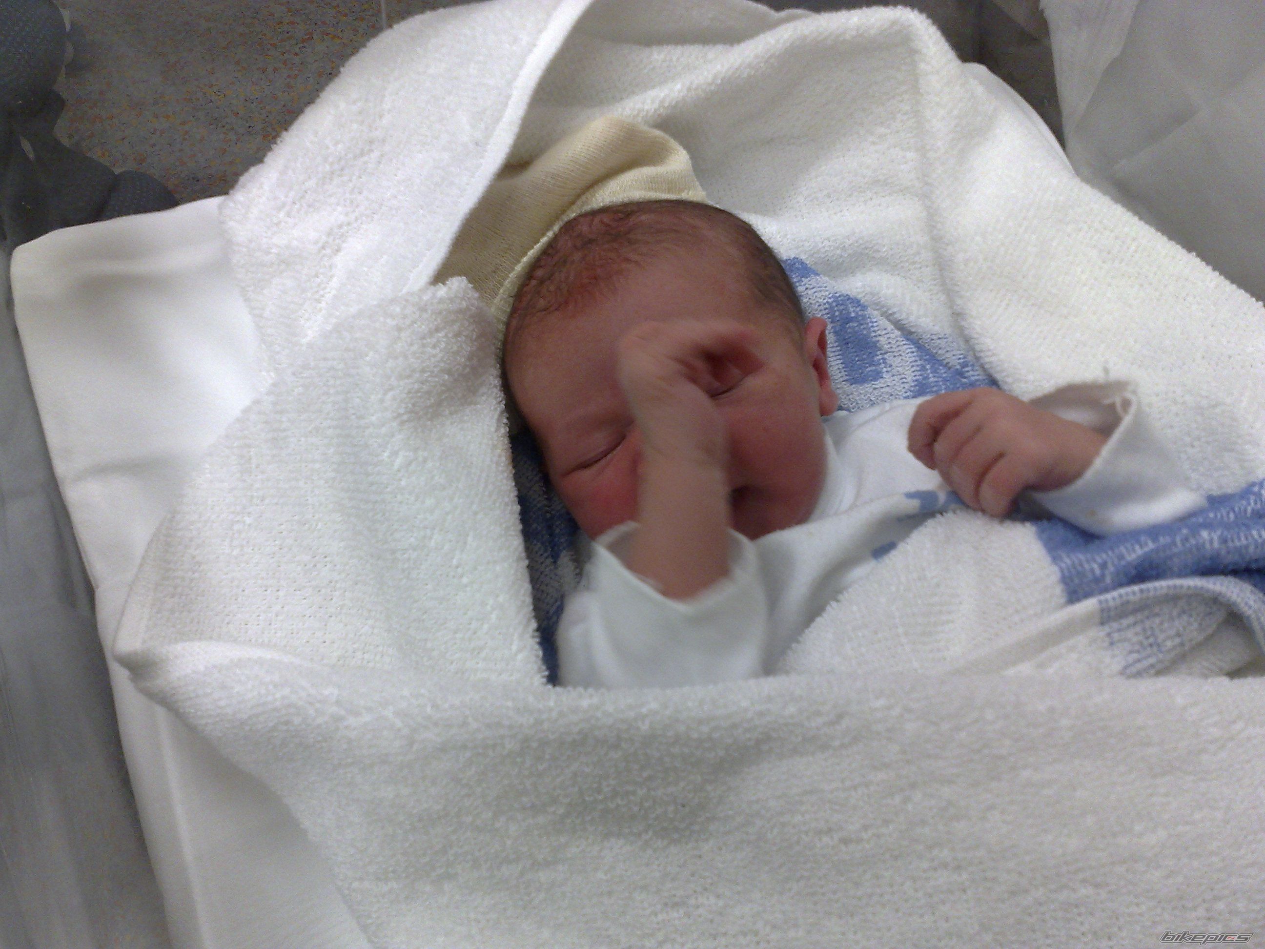 Photo 1338864