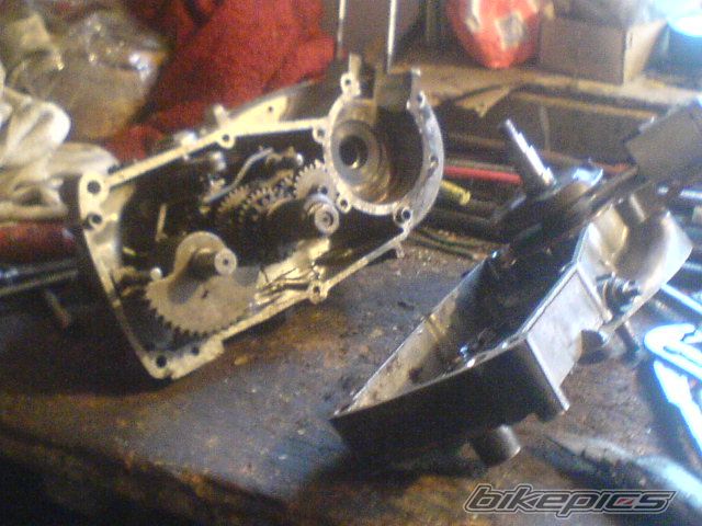 Photo 1338893