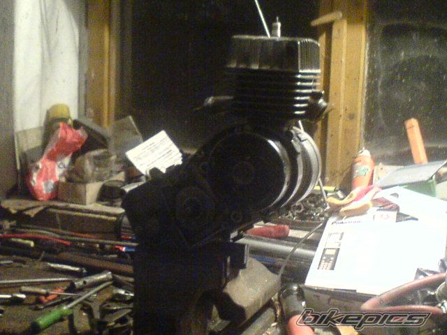 Photo 1338896