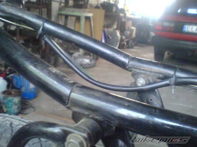 Photo 1338913