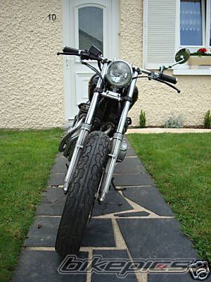 Photo 1338948