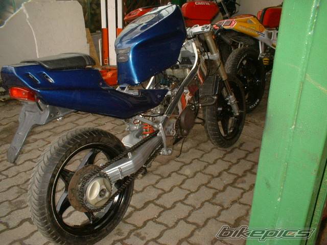 Photo 133895