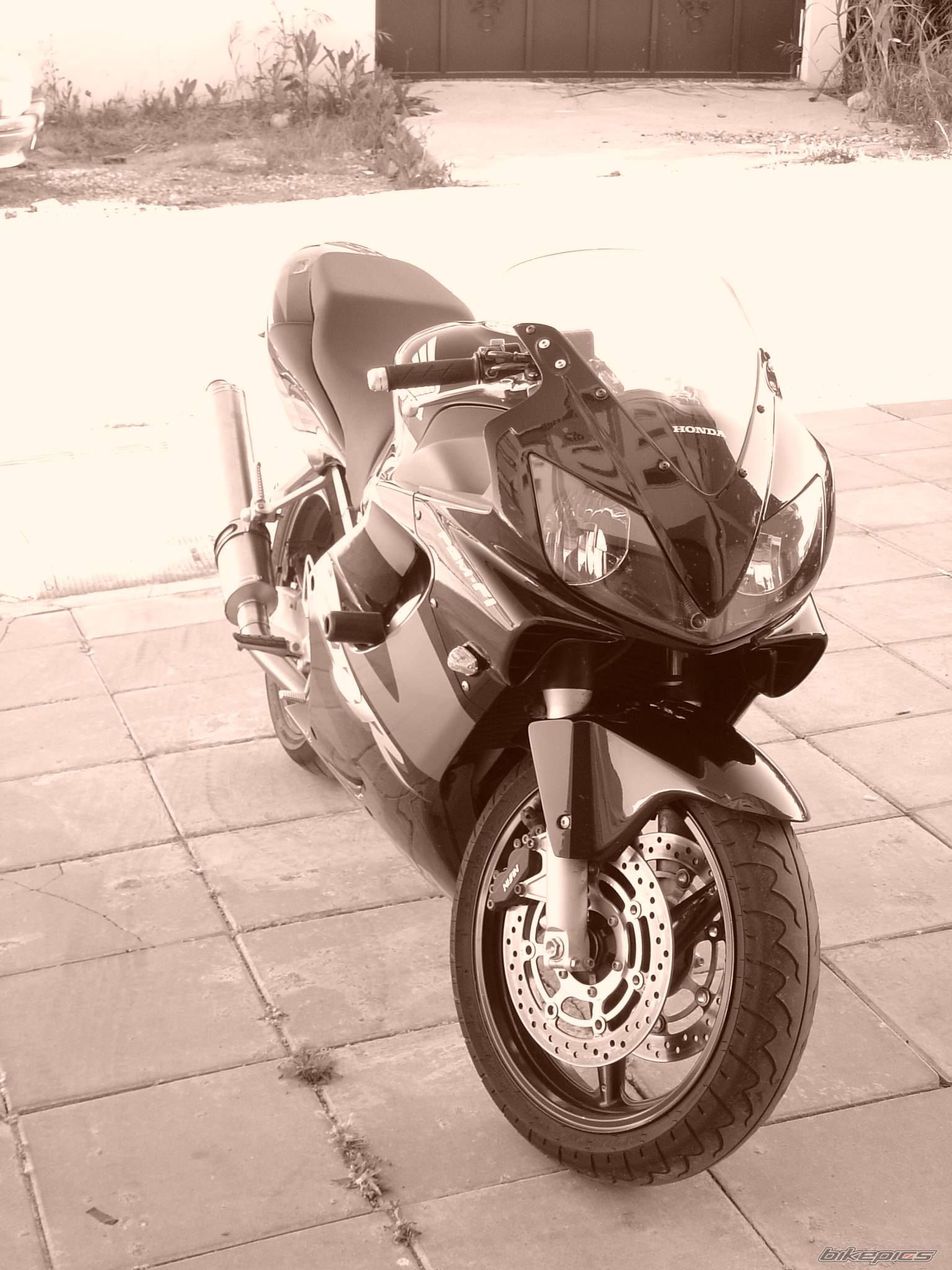 Photo 133914