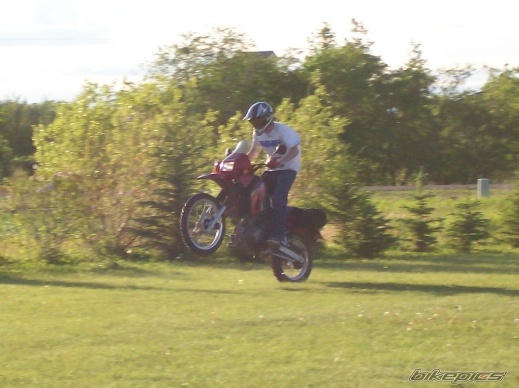 Bike Photo 1339191