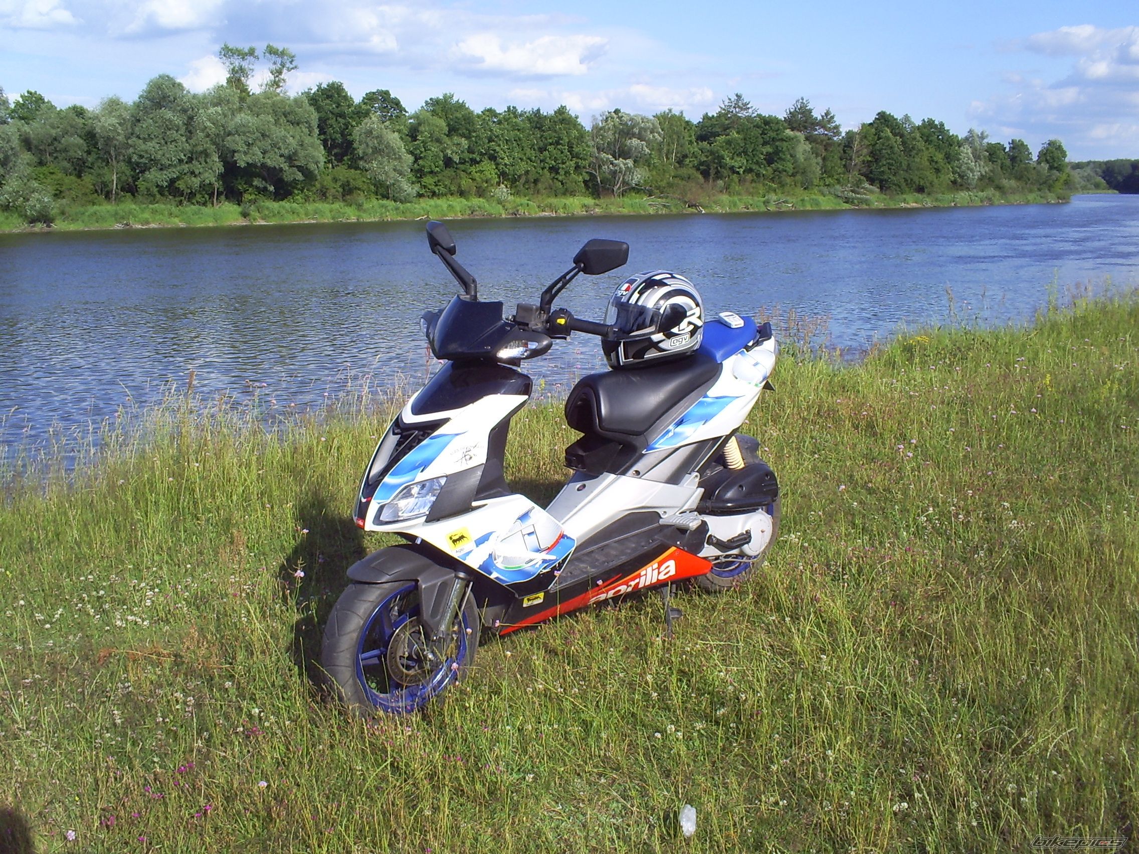 Photo 1339244