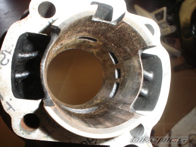 Photo 1339354