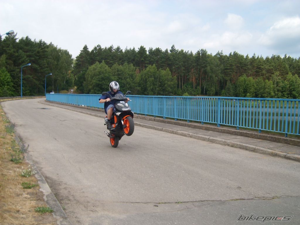 Photo 1339388