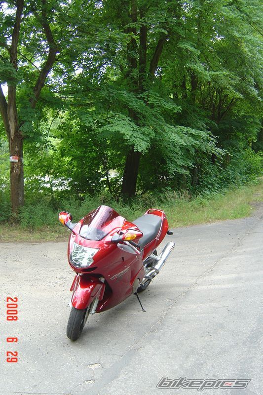 Photo 1339409