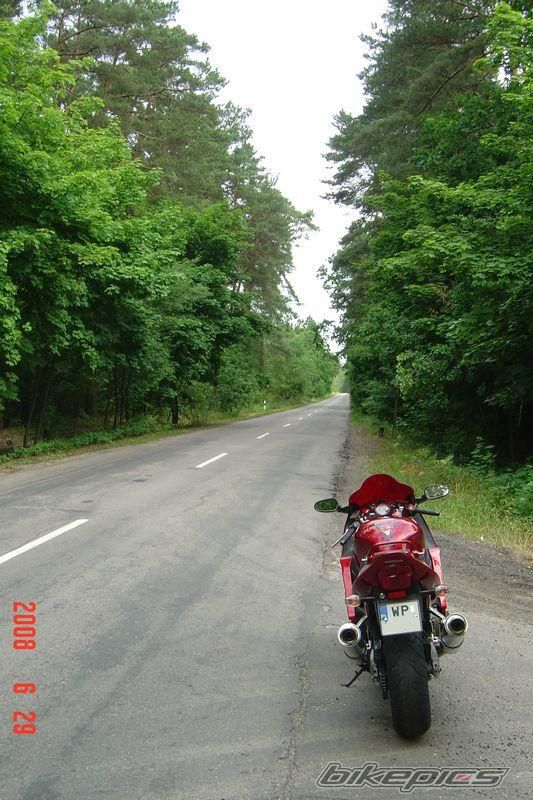 Photo 1339428