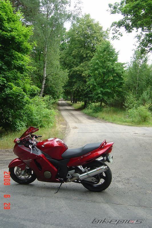 Photo 1339430