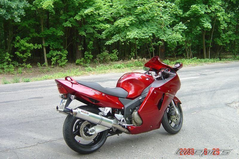 Photo 1339433